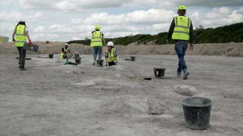 Huellas de dinosaurio fosilizadas en una capa de roca, mostrando diferentes tamaños y formas.