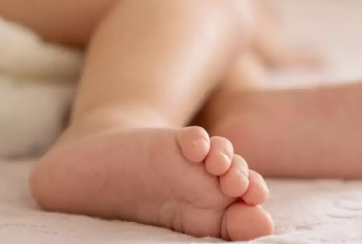 Alimentos de la canasta básica en México con plomo en 2025