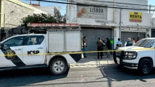 Crematorio clandestino de mascotas Monterrey