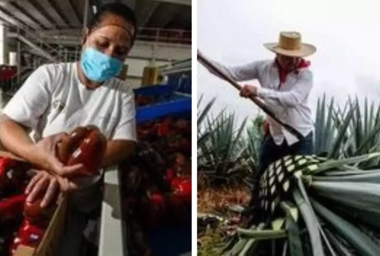 supeavit-balanza-finanzas-alimentaria (1).jpg