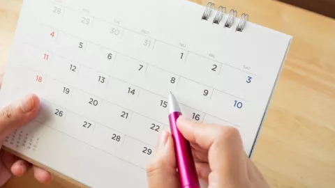 Puentes de noviembre: Cuáles son y cuántos le restan al 2024