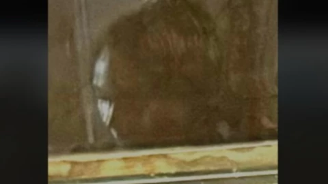 fantasma carruaje Castillo de Chapultepec