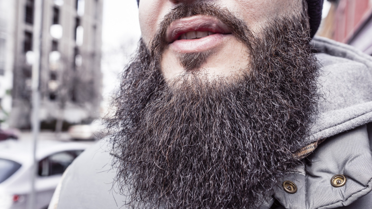 Todos los hombres con barba que participaron en el estudio arrojaron un conteo alto de bacterias en comparación a 23 de los 30 perros peludos participantes. Imagen: Pixabay