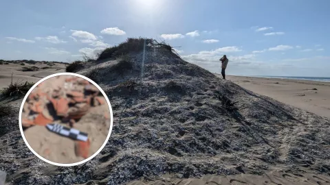 Encuentran vestigios prehispánicos en Guasave