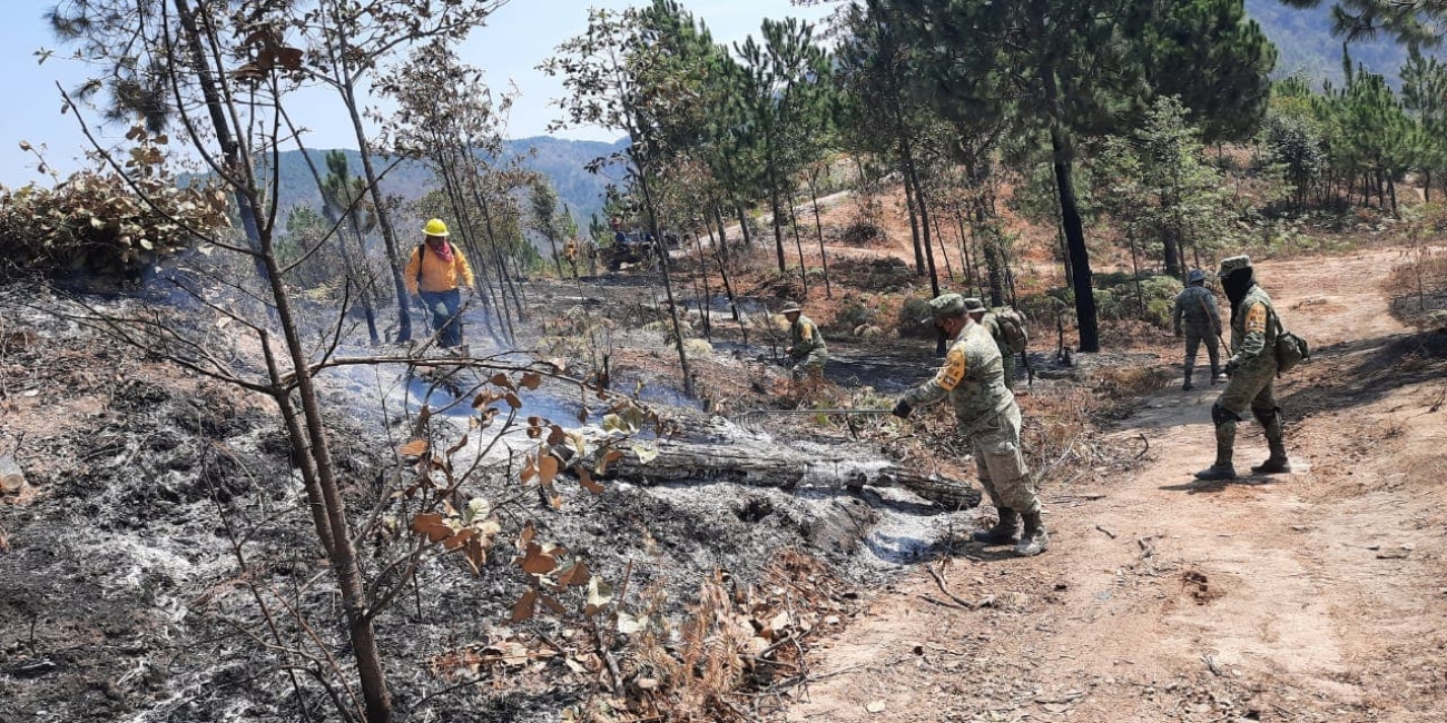Sofocado incendio forestal en Ciudad Hidalgo (3).jpg