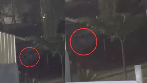 Fantasmas en Veracruz