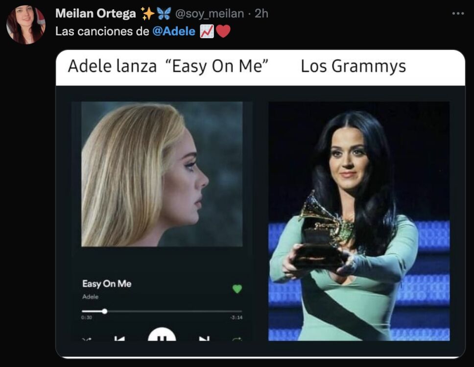 meme adele grammy