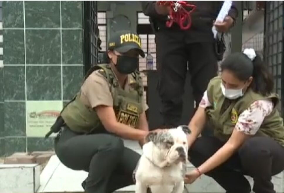 Captan a trabajador del Congreso golpeando y ahorcando a su perro