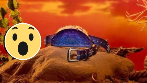 ¡Ingenio! Diseñan cinturón para transportar un taco ‘gringo’ sin riesgo de que se te caigan ¿la usarías_.webp