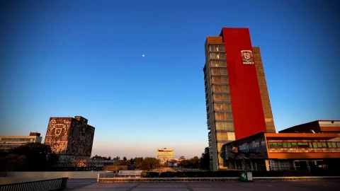 Plagio-UNAM-puede-anular-títulos