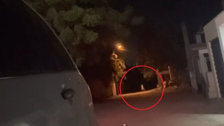 video de la llorona real tiktok