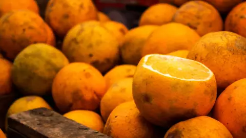 ¿Cuándo termina la Feria de la Naranja en Oxkutzcab 2024?