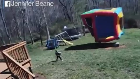 Inflable niño fiesta Carolina del Norte