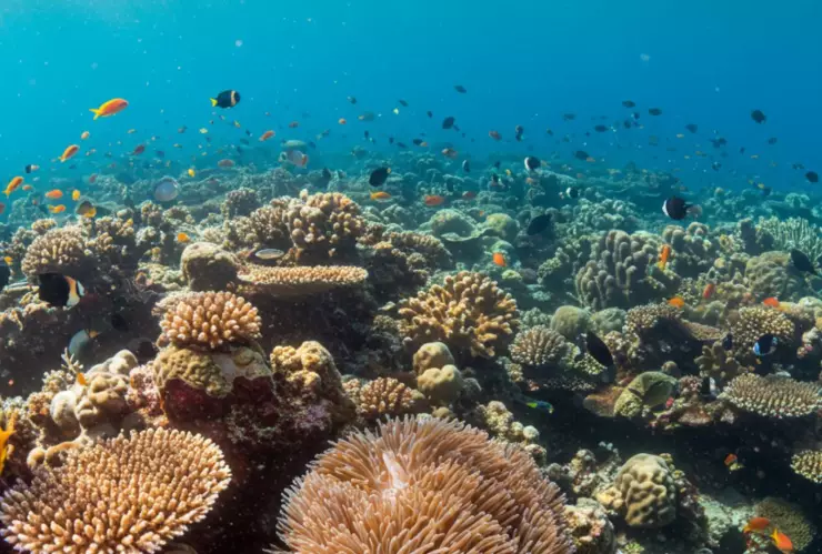 Efemérides de Junio_ Lista completa de las conmemoraciones de este mes.jpg