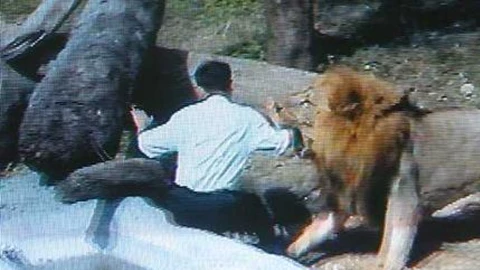 VIDEO León ataca a hombre que intentó convertirlo al cristianismo