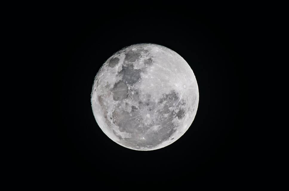 Super Luna, Gusanos, Cómo 2.jpg
