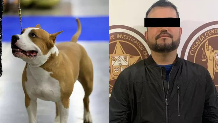 Perro Bull Terrier y Eduardo “N”, asesino del perro “Popeye”.