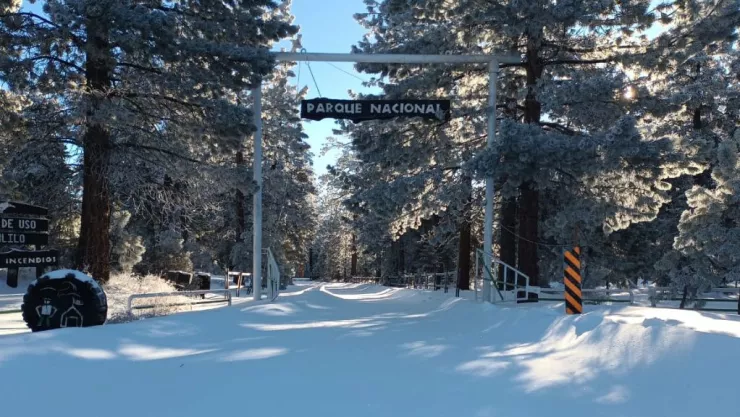 Parque Nacional de San Pedro Mártir en Ensenada