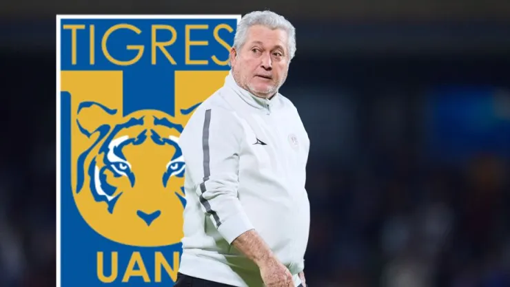 Vucetich, nuevo DT de Tigres