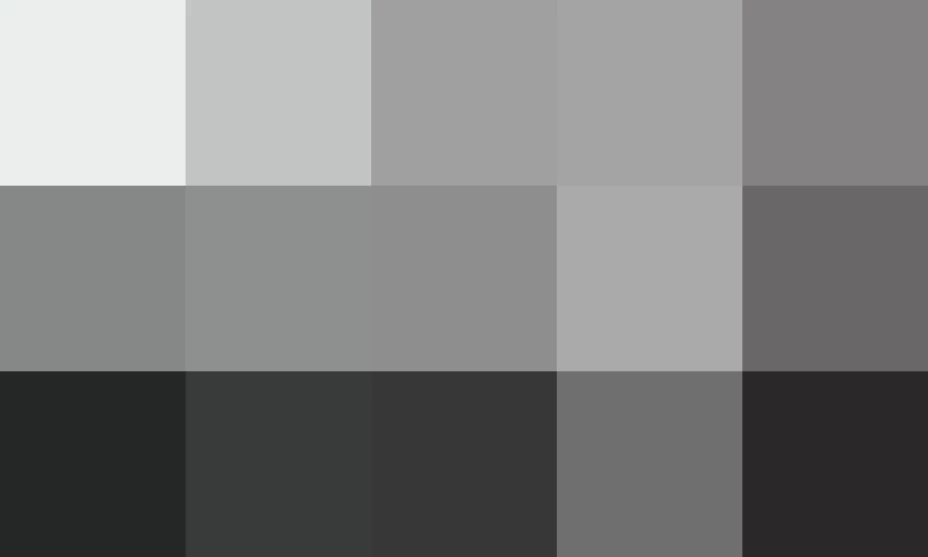 El informe se enfoca en la estructura organizacional del IFE