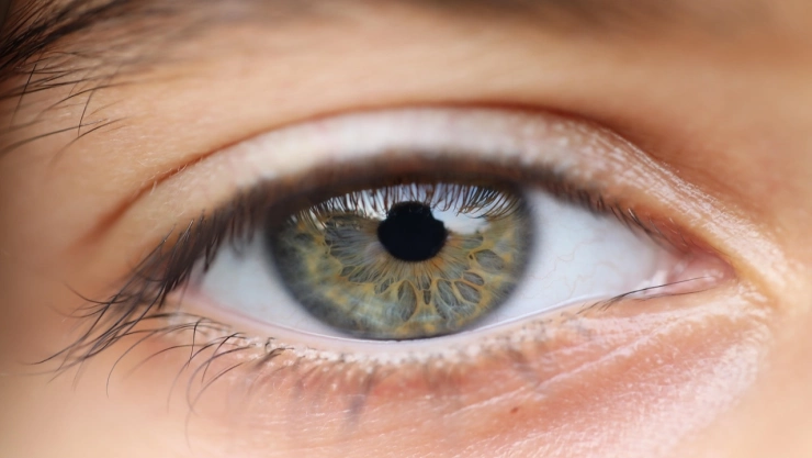 Fotografía de primer plano de ojos de diferentes colores, enfatizando la variedad de tonos y la posibilidad de cambiarlos mediante la queratopigmentación.