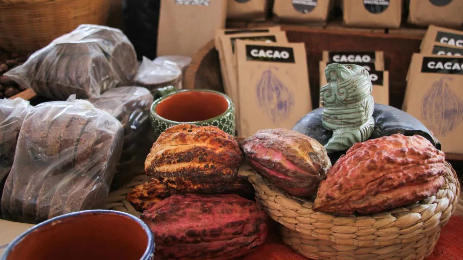 Cacao