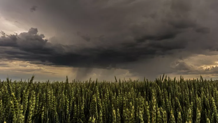 Clima Aguascalientes ¿Cuándo inicia la temporada de lluvia en México 2025 y cuáles serán los estados más afectados