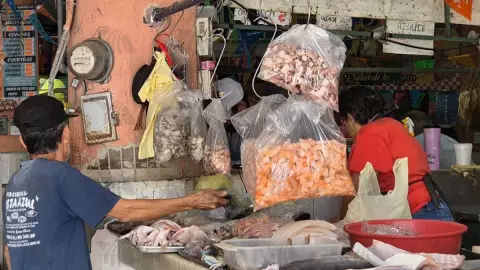 Reportan INCREMENTO de productos del mar en mercados de Mérida tras paso del Huracán Milton