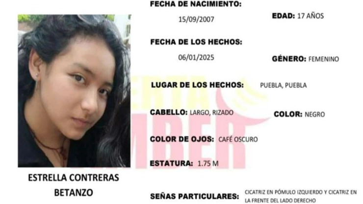 desaparecida flor del bosque puebla estrella betanzo
