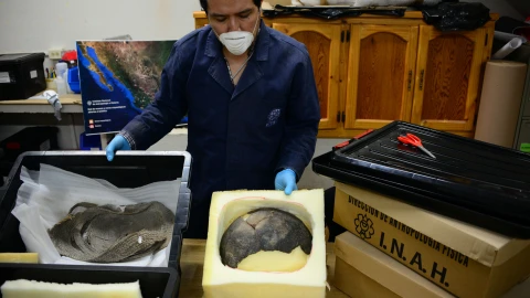 Momia niño Tamaulipas 2