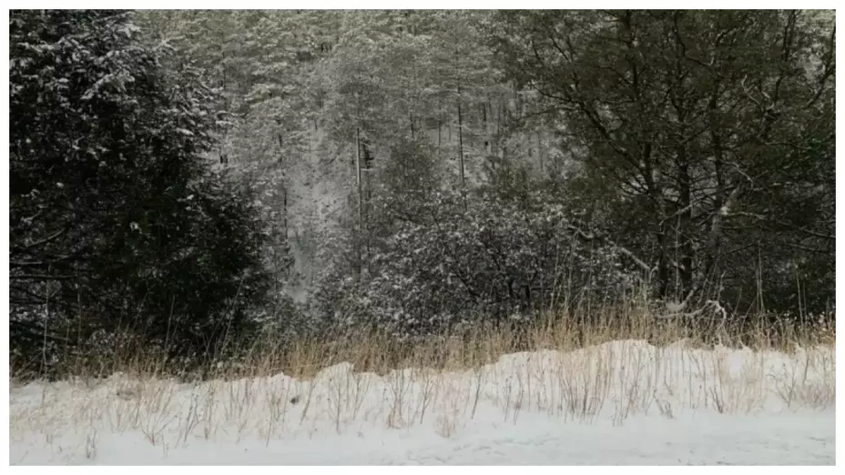 nevada_chihuahua_municipios_tormenta_invernal