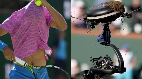 “Han picado a Carlos, estaba rodeado": Invasión de abejas suspenden partido de tenis entre Alcaraz y Zverev