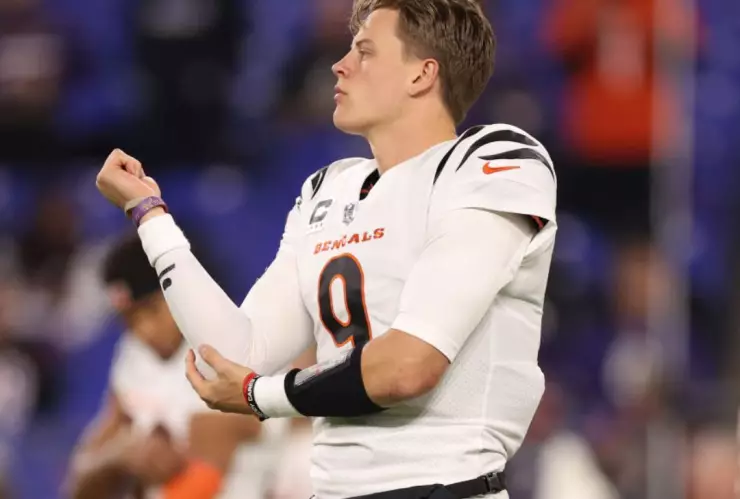 joe burrow nfl temporada