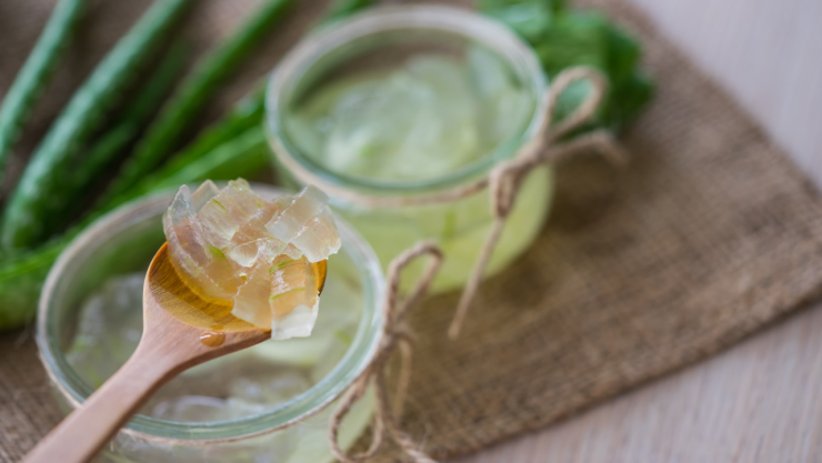 Esta es la planta que es rica en colágeno y una bomba antioxidante: aloe vera