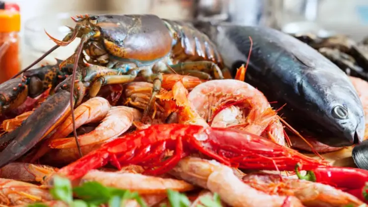 mariscos Vibrio vulnificus