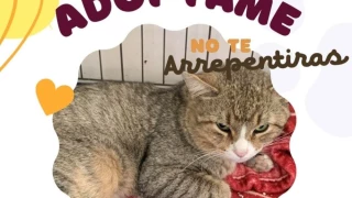 WhatsApp Image 2025-02-18 at 3.19.14 PM.jpeg