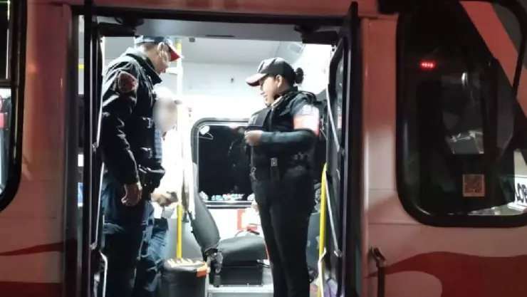 Víbora sorprende en microbús de la CDMX