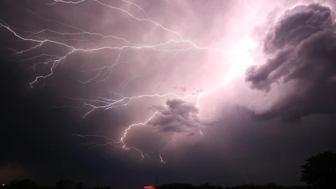 rayo Pakistán familia.jpg