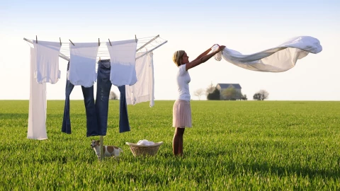 La planta milenaria que es súper potente contra las manchas de la ropa