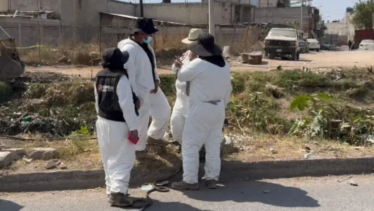 Madres buscadoras localizan restos humanos en el Canal de Cartagena, Ecatepec