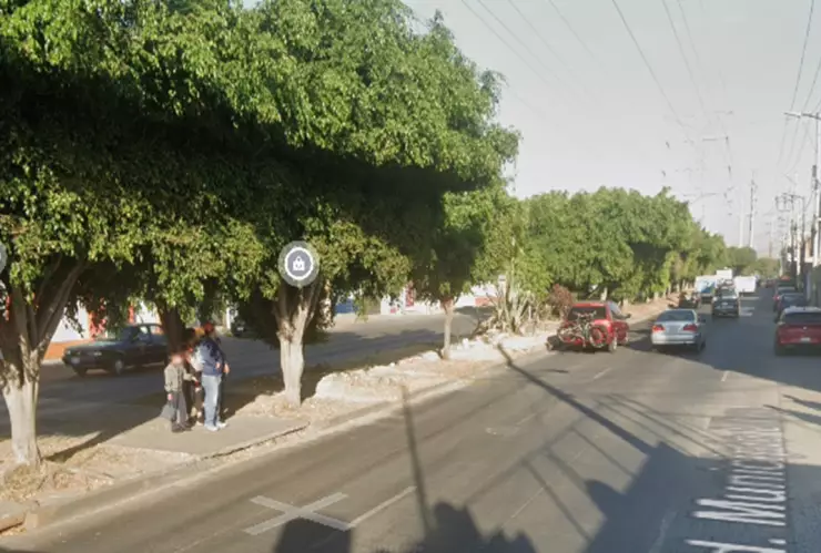 arrollado municipio libre