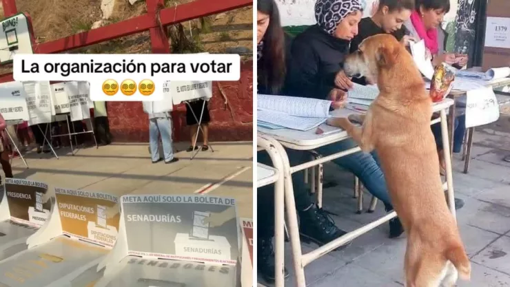 memes elecciones 2024