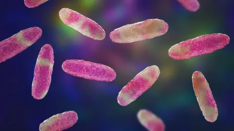 brote de bacteria Klebsiella oxytoca en Edomex