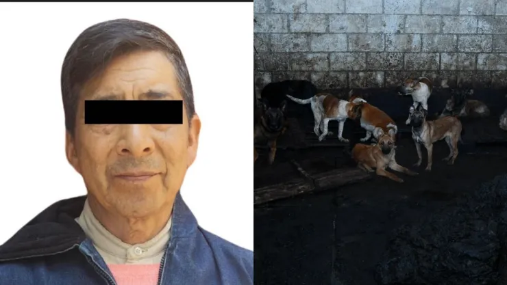 Carnicero que presuntamente vendía carne de perro como barbacoa va a prisión preventiva