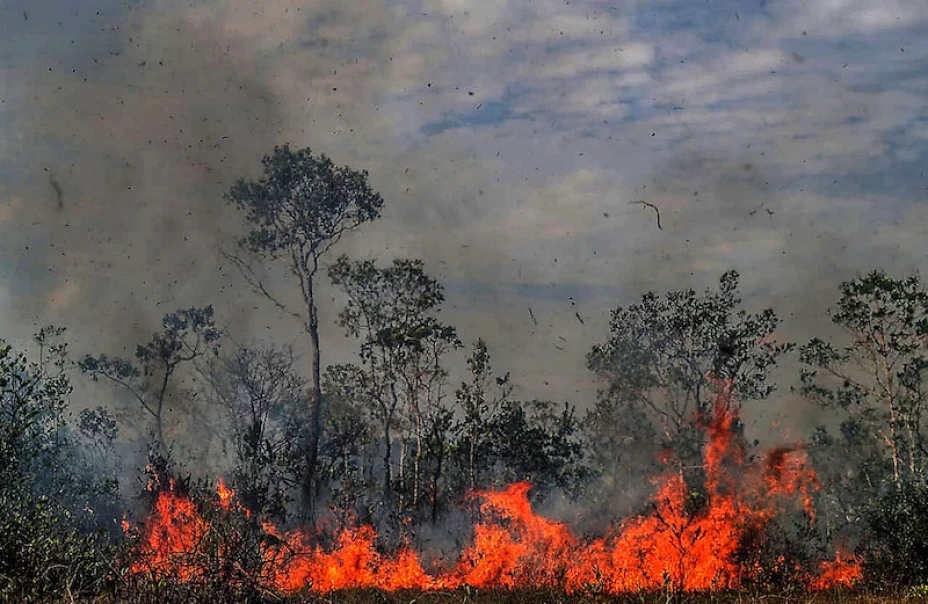 Incendios forestales