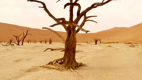 Estas son las causas del cambio climático