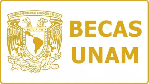 becas de la unam
