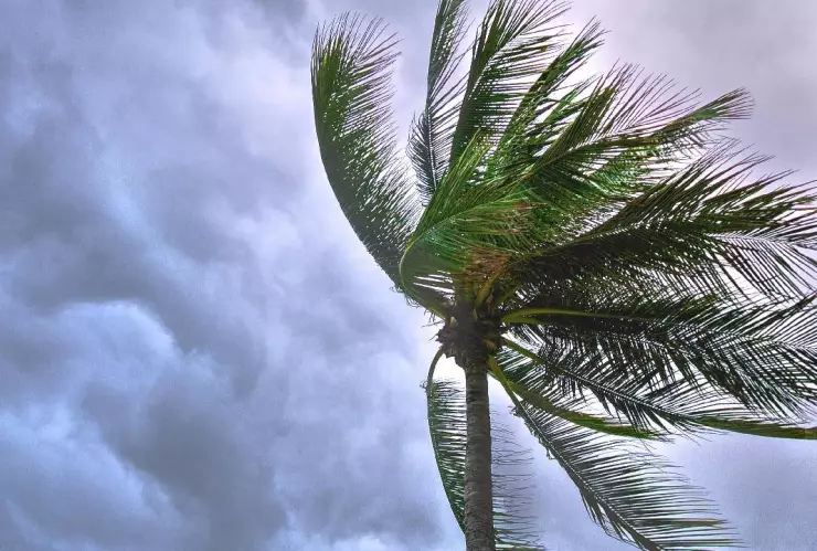 Tormenta, lluvia, viento, clima