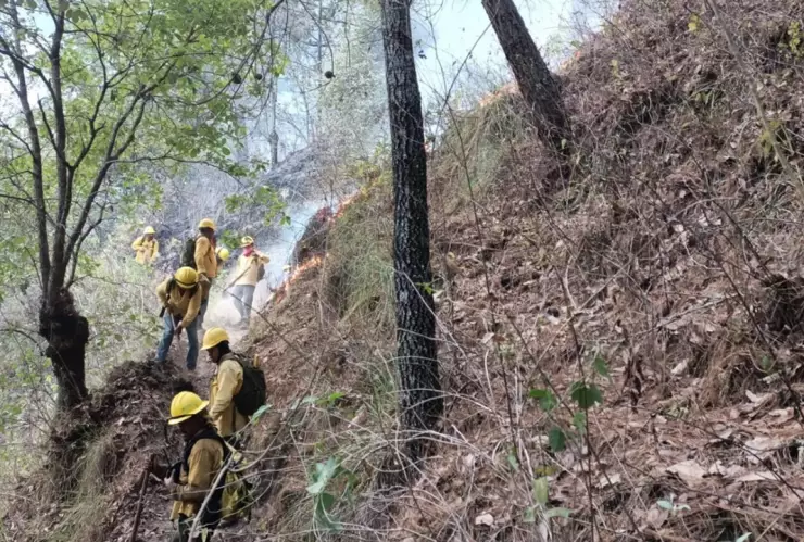 incendios forestales puebla
