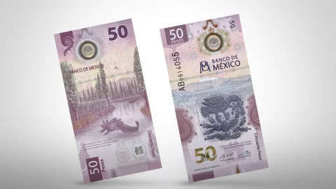 ¡Nuevo billete de cincuenta pesos gana por su belleza a nivel mundial!